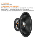 Alto Falante Woofer Triton Tr 620 W Rms 12 Polegadas 4 Ohms
